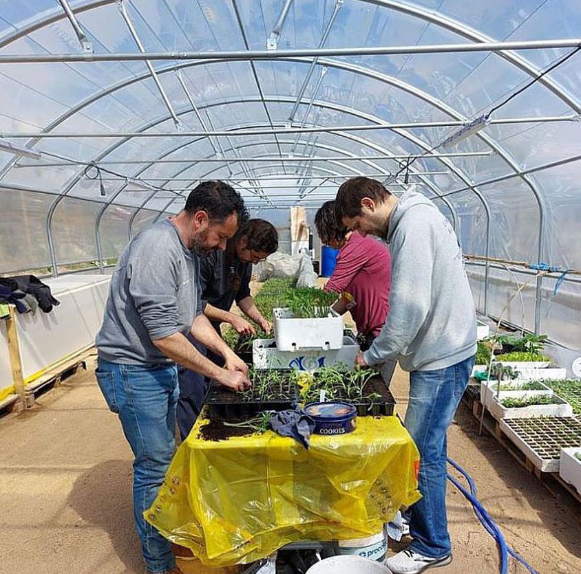 Els membres del Banc de Llavors reben el suport de voluntaris per fer feines a l’hivernacle Els membres del Banc de Llavors reben el suport de voluntaris per fer feines a l’hivernacle